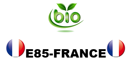 Logo BIO E85-FRANCE